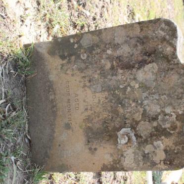 WYND Laura Jane 1885-1885