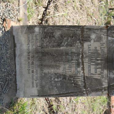 WETHERILL Sarah -1924 :: WETHERILL Sarah Daisy -1927