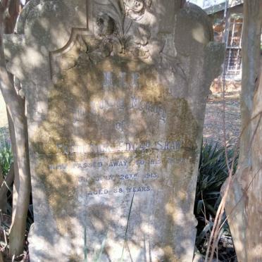 SHAW Frederik Edgar -1913