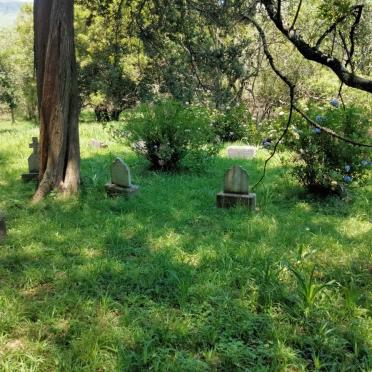 3. Overview / Oorsig