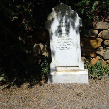 CURRY Sarah Ann 1828-1912