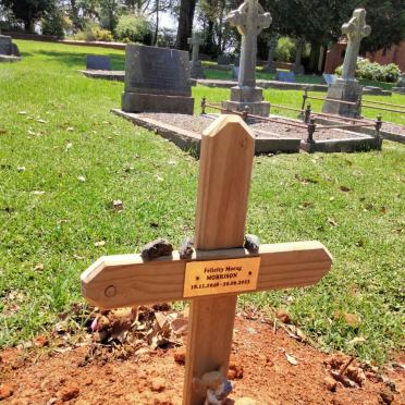 MORRISON Felicity Morag 1945-2023