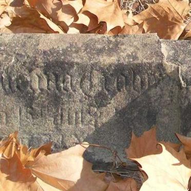 ILLEGIBLE Carolina or Aurora