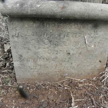 ANDERSON Tommy 1925-1956