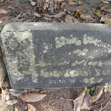 BURN H?n Lesley 19?7-196?