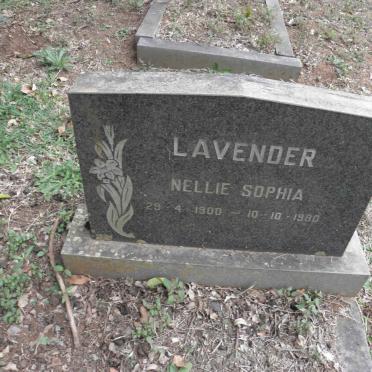 LAVENDER Nellie Sophia 1900-1980