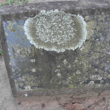 MASS? Regi? ?bert -1964