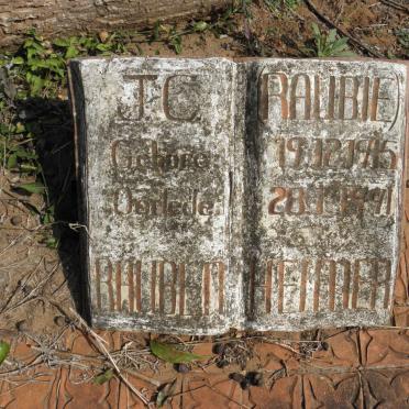 RAUBENHEIMER J.C. 1915-1991