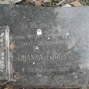 VILLIERS Jacobus Coll, de 1900-1974 &amp; Johanna 1900-1988