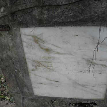 HUMAN Annie 1916-1993