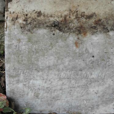 LEE Nicholas John -1984