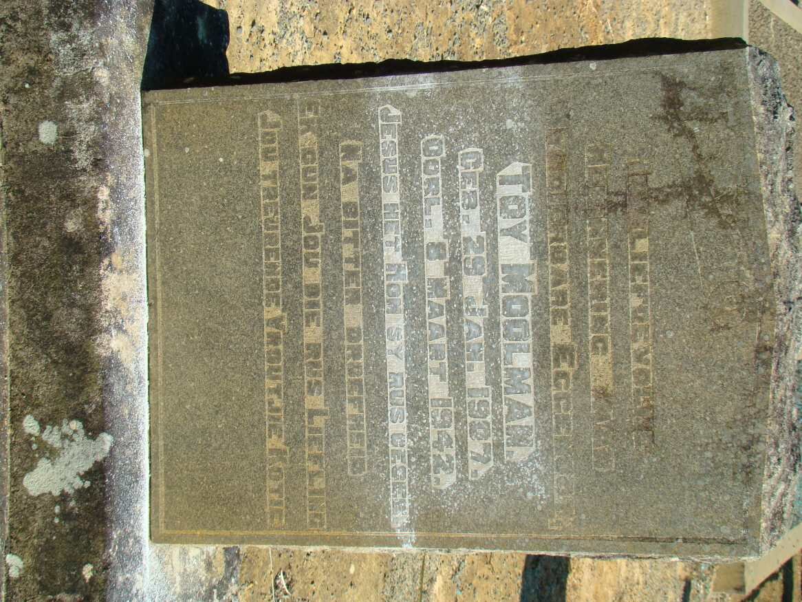 MOOLMAN Toy 1907-1942