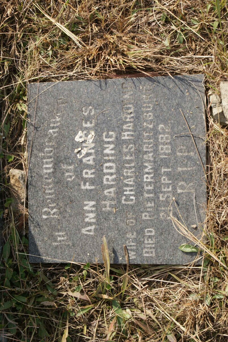 HARDING Ann Francis -1882