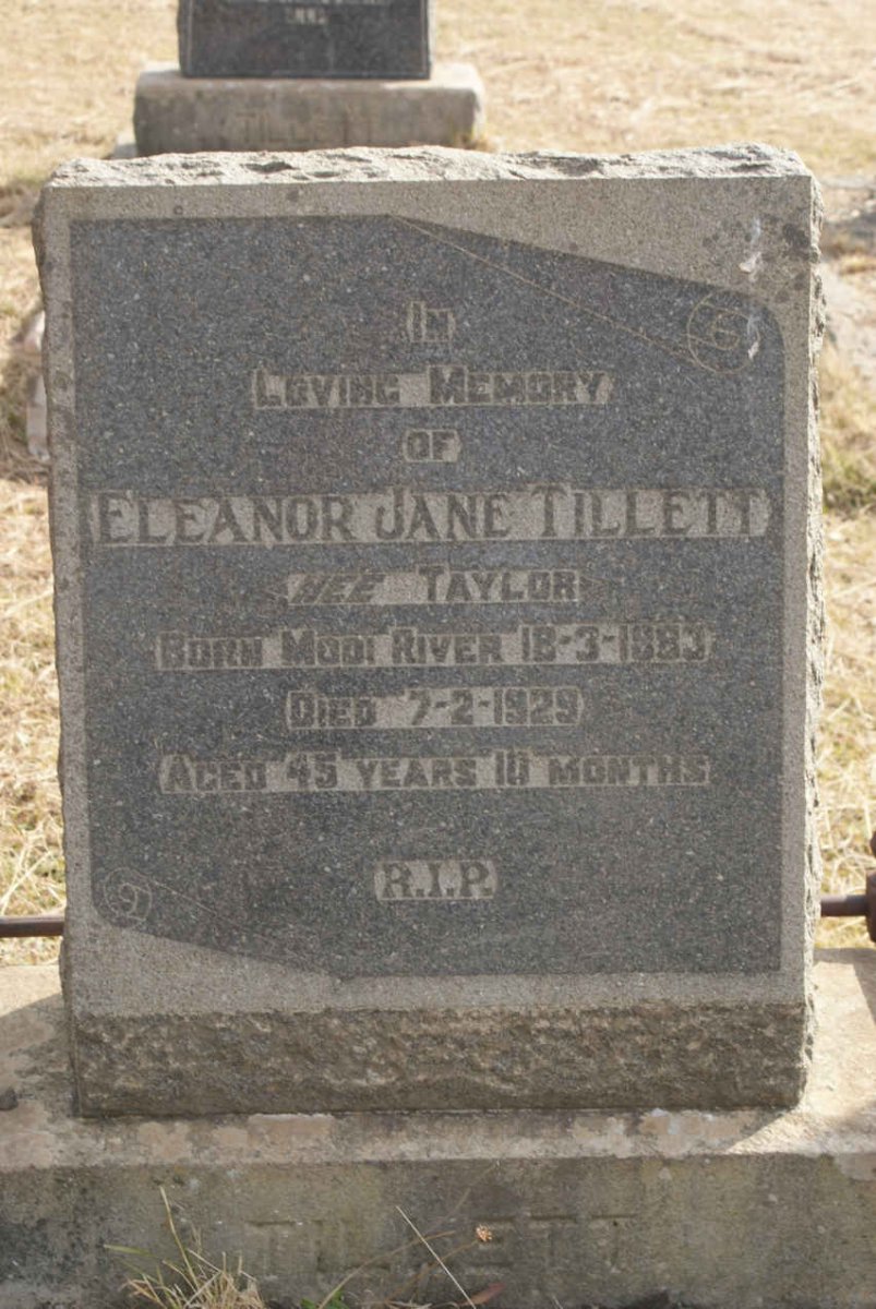 TILLETT Eleanor Jane nee TAYLOR 1883-1929