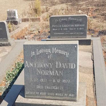 NORMAN Phyllis Laughton 1906-1972 :: NORMAN Anthony David 1937-1977