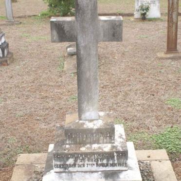 FINTEL  H. Peter, von 1835-1902