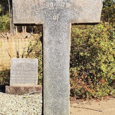 TUCKER Sabina 1819-1921