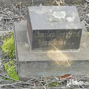 WESTBROOK Charles Leonard -1915