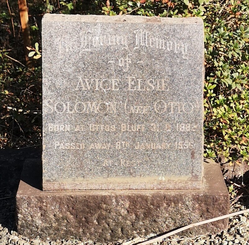 SOLOMON Avice Elsie nee OTTO 1882-1956