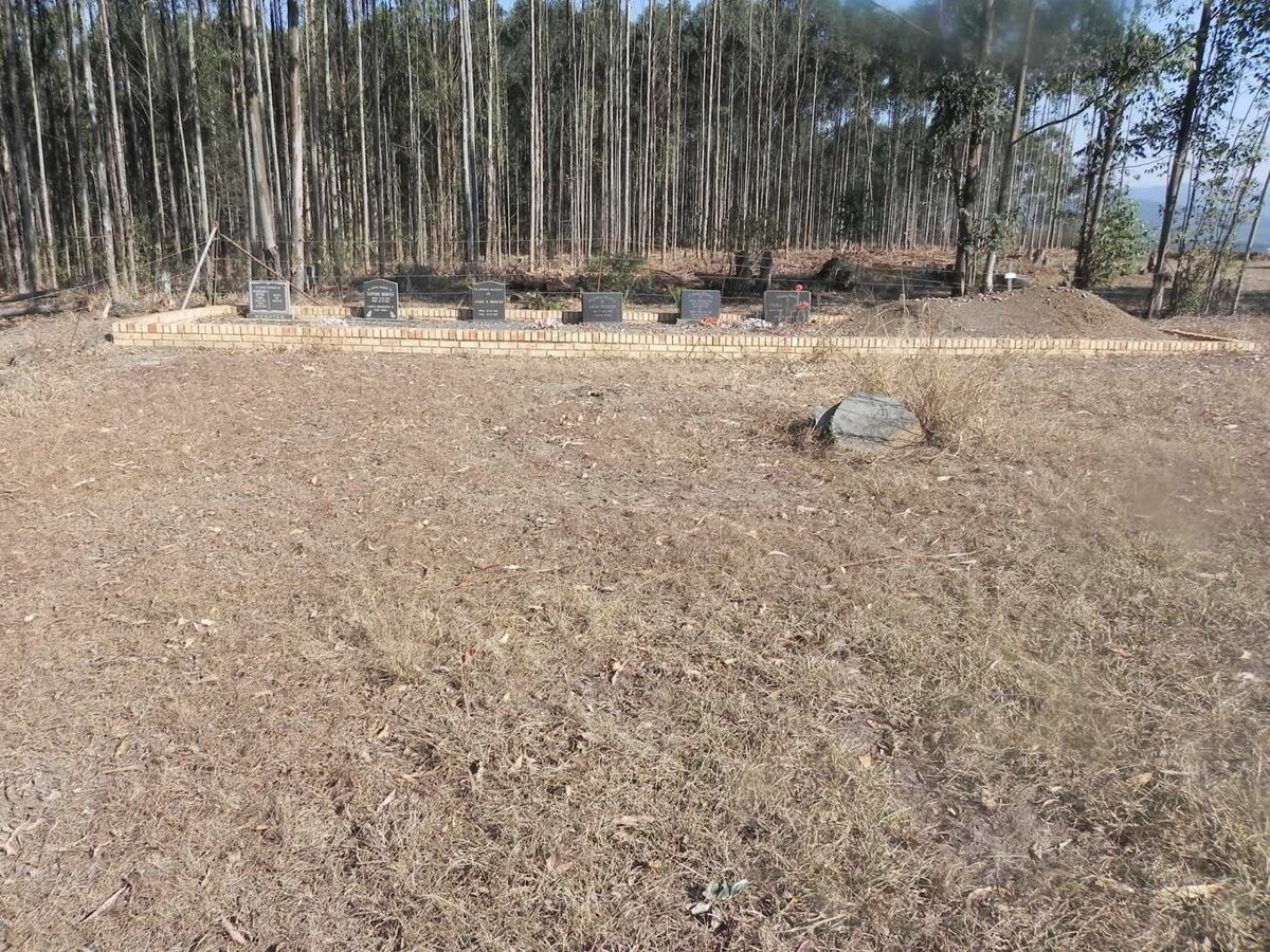 1. Overview of WEBSTER graves