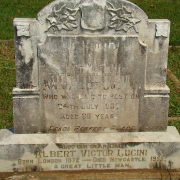 LUCINI Albert Victor 1872-1955 &amp; Anna Alice -1930