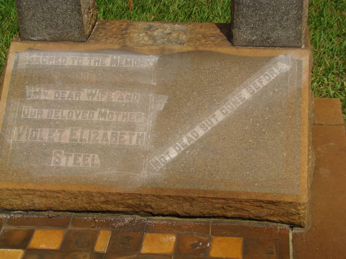 STEEL Violet Elizabeth