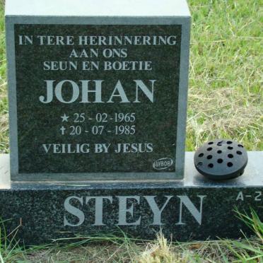 STEYN Johan 1965-1985