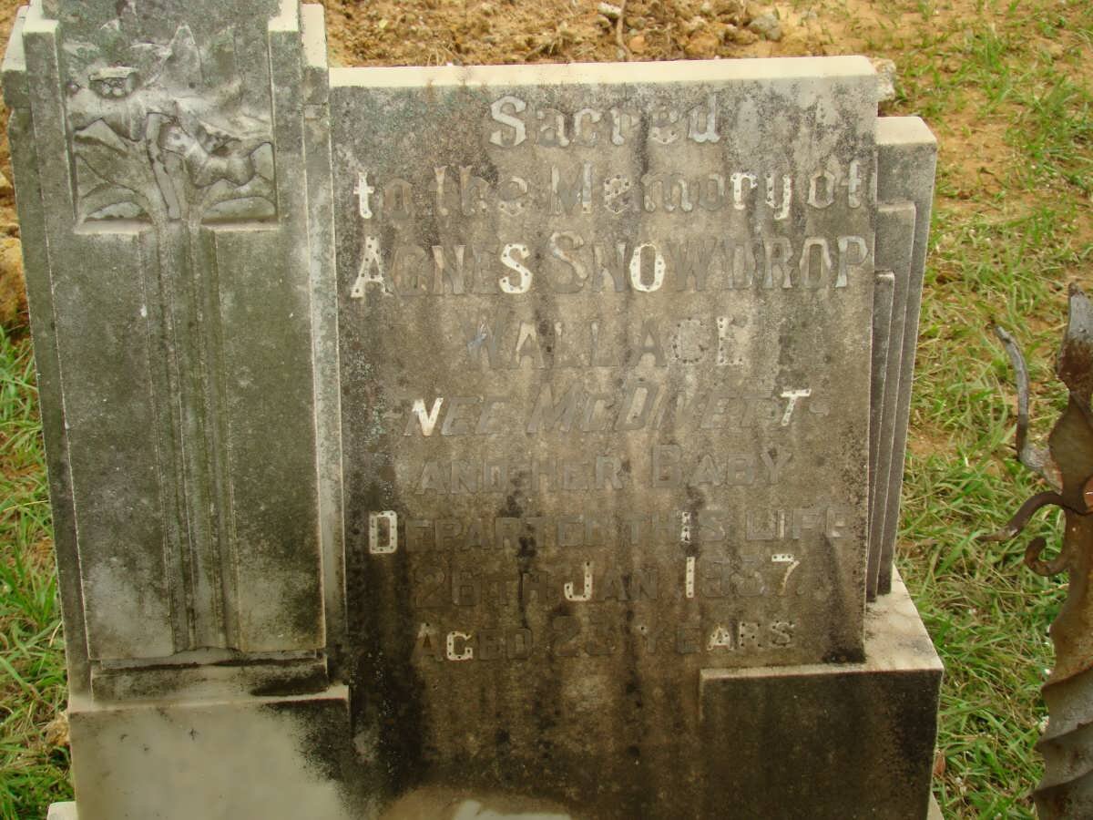 WALLACE Agnes Snowdrop nee McDIVETT -1937 :: WALLACE Baby -1937