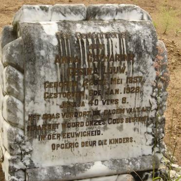 LOUW Anna Catharina Gesina 1557-1928