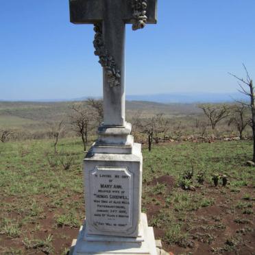 GOODWILL Mary Ann -1890