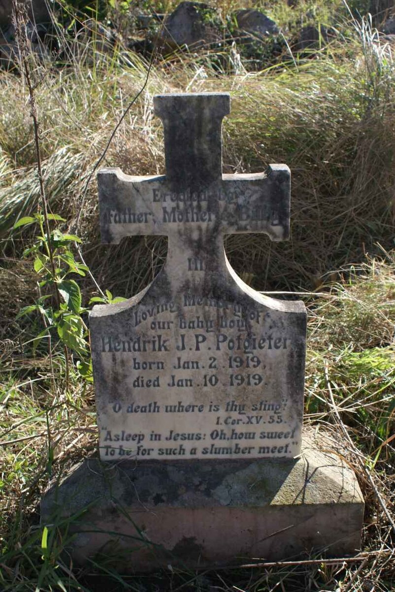 POTGIETER Hendrik J.P. 1919-1919