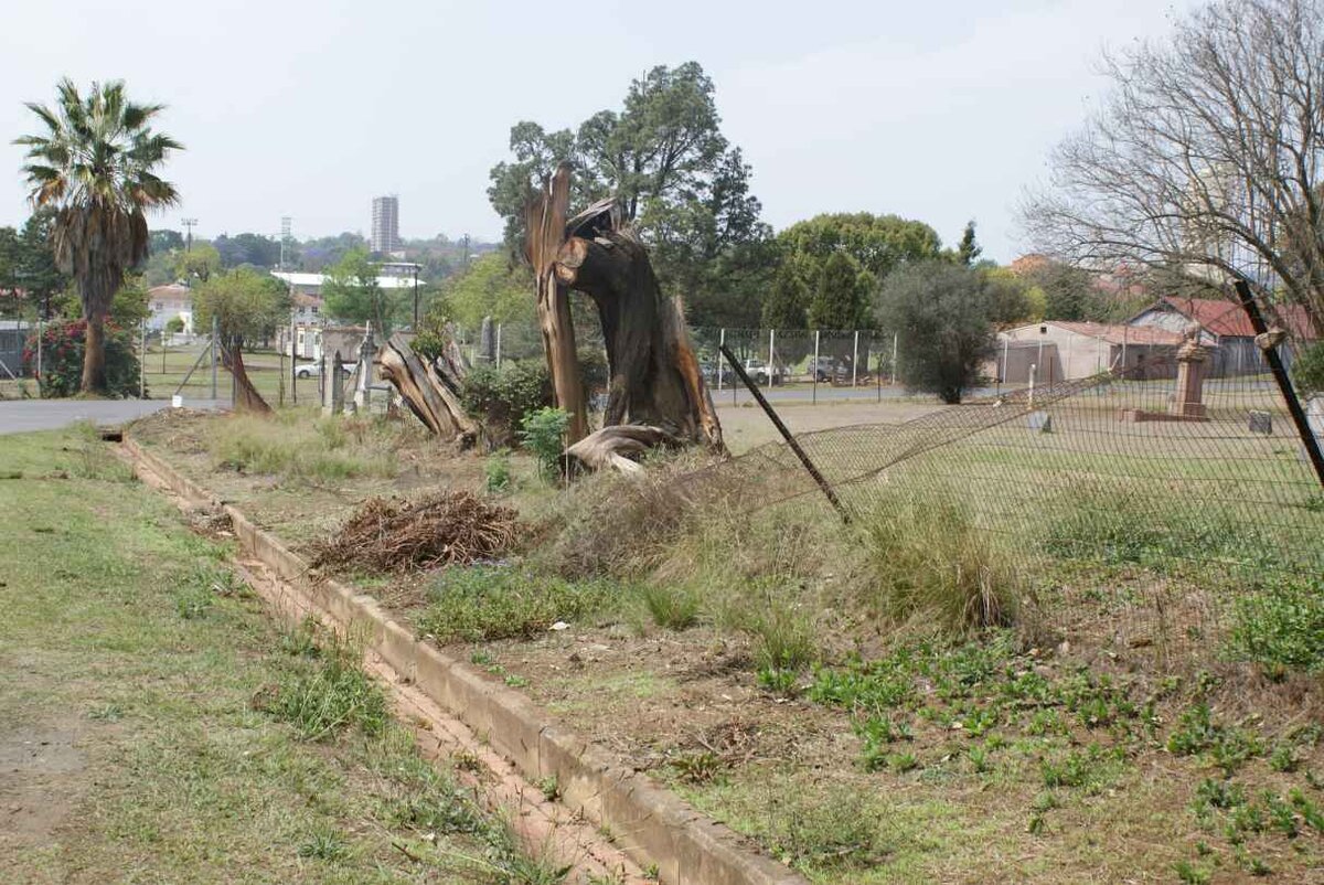 Overview on a broken fence