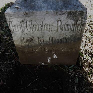 BOWDITCH Cecil Gladstone 1882-1883