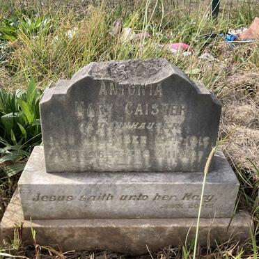 CAISTER Antonia Mary -1912