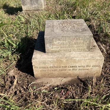 C - Surnames :: Vanne - C