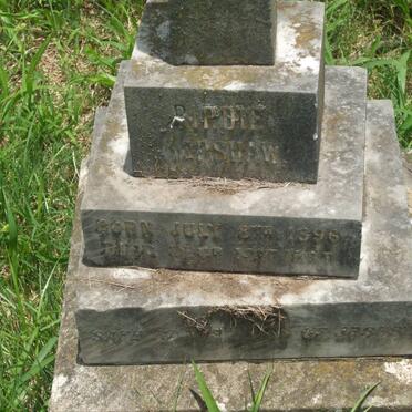 KERSHAW Birdle 1896-1897