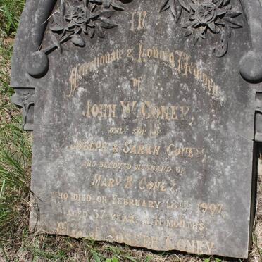 CONEY Joseph -1914 :: CONEY John W. -1907