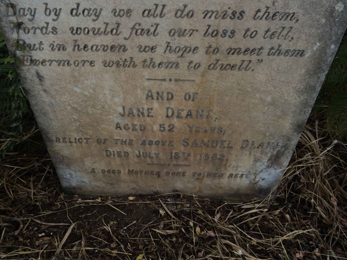 DEANE Samuel -1865 & Jane -1882 :: DEANE James -1879 _3