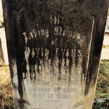 EVANS David -1889