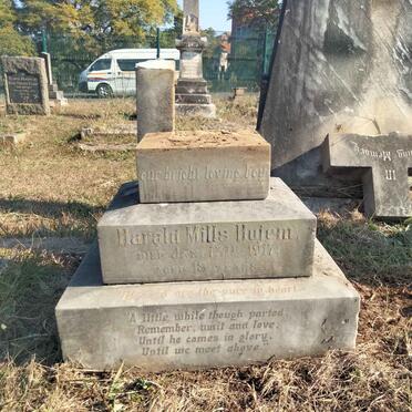 HOJEM Harald Mills -1917