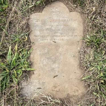 LIGHT John Wareham -1905