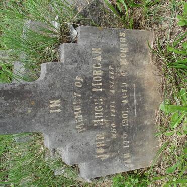 MORGAN John Hugh -1901