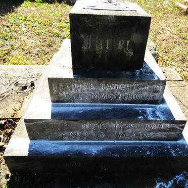 MARTINDALE Janey -1893