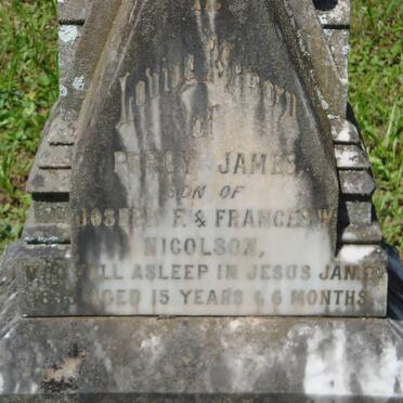 NICOLSON Percy James -1893