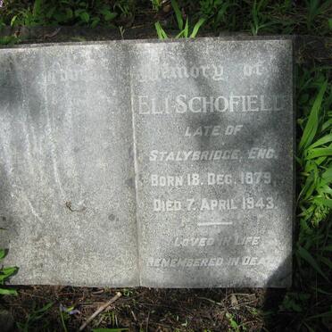 SCHOFIELD Eli 1879-1943