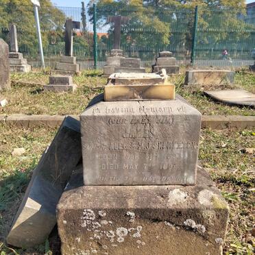 SHEKLETON James 1893-1894