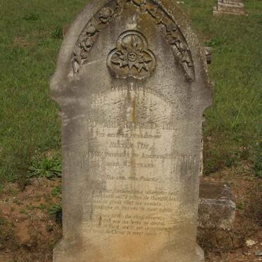 TIM Edward Richard -1904