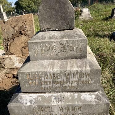 WINDOW Alice -1886 :: WINDOW Samuel -1892