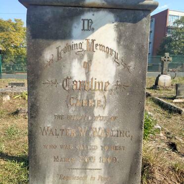 WATLING Caroline -1909