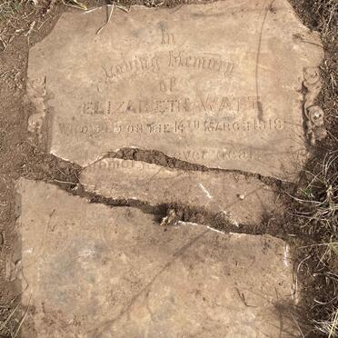 WATT Elizabeth -1919